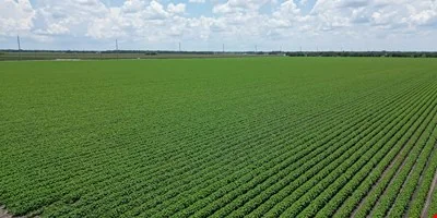 PLEAK RD and FM 2977 Richmond TX — Sale in Richmond, TX, photo 5 of 7