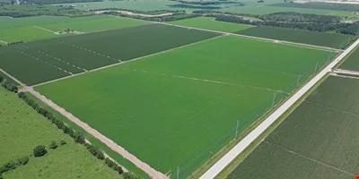 PLEAK RD and FM 2977 Richmond TX — Sale in Richmond, TX, photo 7 of 7