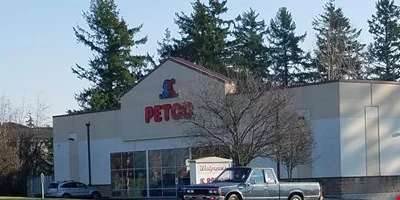 Retail Business for Sale in Bellingham, WA, photo 3 of 3