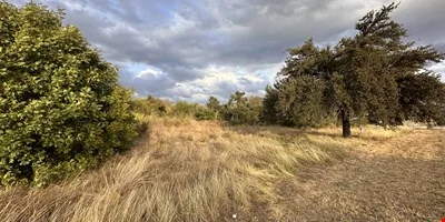 Large Lot in the heart of Georgetown, TX. — Sale in Georgetown, TX, photo 5 of 8