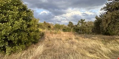 Large Lot in the heart of Georgetown, TX. — Sale in Georgetown, TX, photo 6 of 8