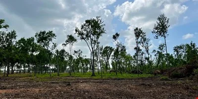 2010 Coteau Rd - Commercial/Industrial Tract near Hwy… — Sale in Houma, LA, photo 5 of 8