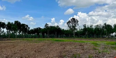 2010 Coteau Rd - Commercial/Industrial Tract near Hwy… — Sale in Houma, LA, photo 3 of 8