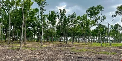2014 Coteau Rd - Commercial/Industrial Tract near Hwy… — Sale in Houma, LA, photo 4 of 8