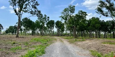 2014 Coteau Rd - Commercial/Industrial Tract near Hwy… — Sale in Houma, LA, photo 7 of 8