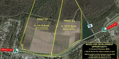 Tract A1 Ducros Plantation - 174.1 Acres in Houma-Thib MSA - retail for sale in thibodaux, LA
