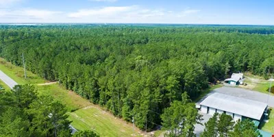 Hwy 80 & 280 Blitchon — Sale in Black Creek, GA, photo 3 of 8