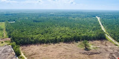 Hwy 80 & 280 Blitchon — Sale in Black Creek, GA, photo 5 of 8