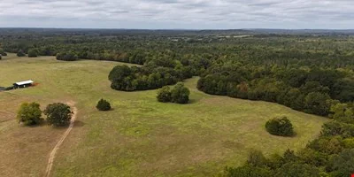 Mossy Oak LLC DBA Alabama Hunt - other for sale in pine apple, AL