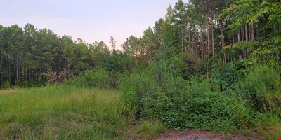 810 W Chatham St — Sale in Cary, NC, photo 3 of 8