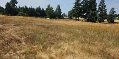 South Hill Industrial Land — Sale in Puyallup, WA, photo 3 of 8