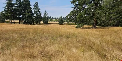 South Hill Industrial Land — Sale in Puyallup, WA, photo 8 of 8