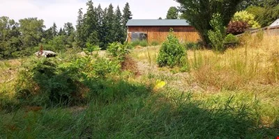 South Hill Land Development — Sale in Puyallup, WA, photo 3 of 8