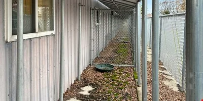 Dog Kennel — Sale in Racine, WI, photo 4 of 7