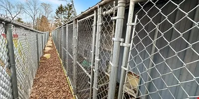 Dog Kennel — Sale in Racine, WI, photo 5 of 7