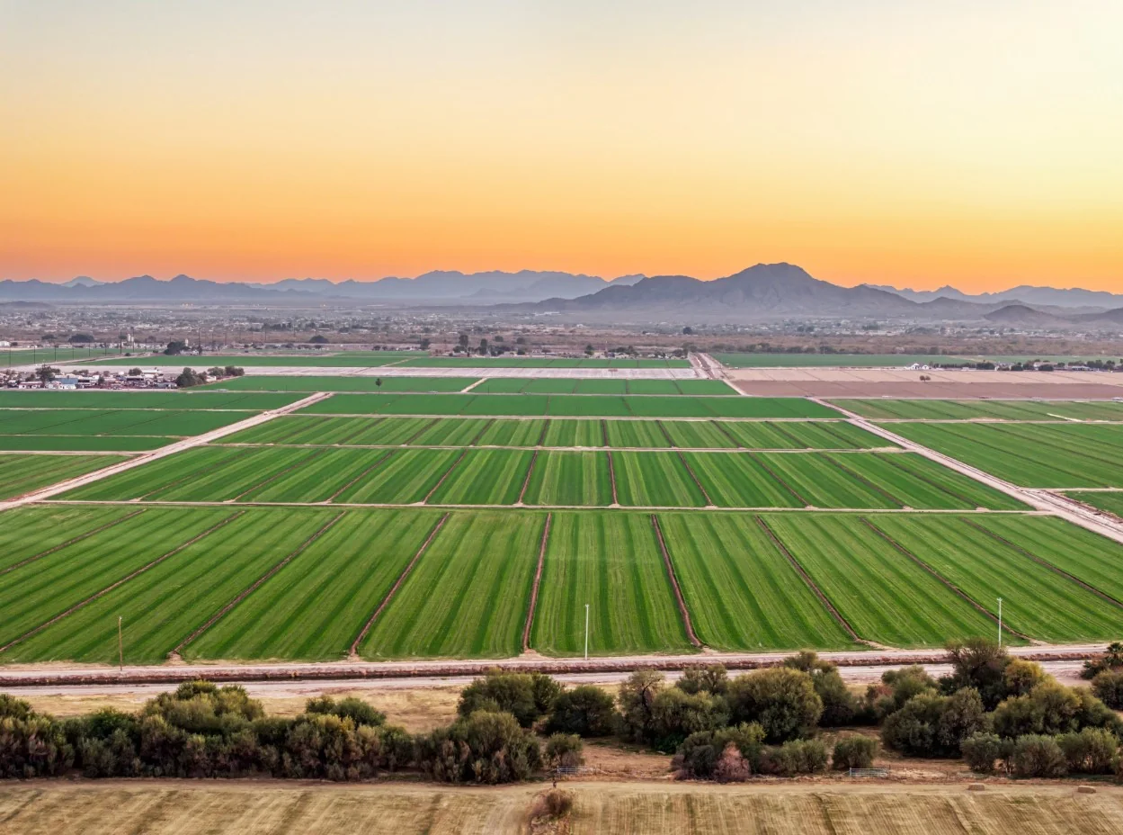 Grand View Arizona — Sale in Buckeye, AZ, photo 2 of 8