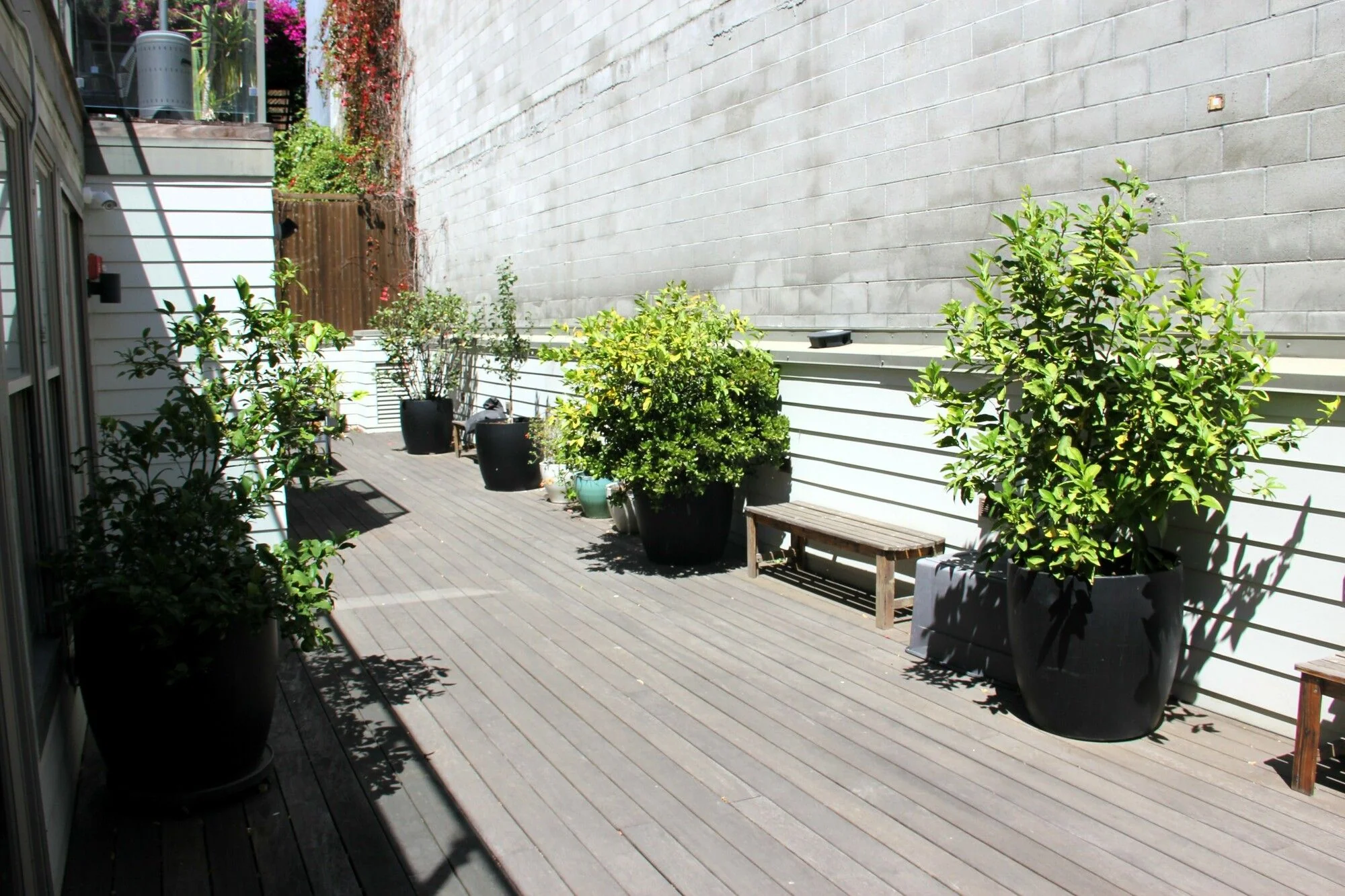 1189 Tennessee Street, #103 — Sale in San Francisco, CA, photo 3 of 8