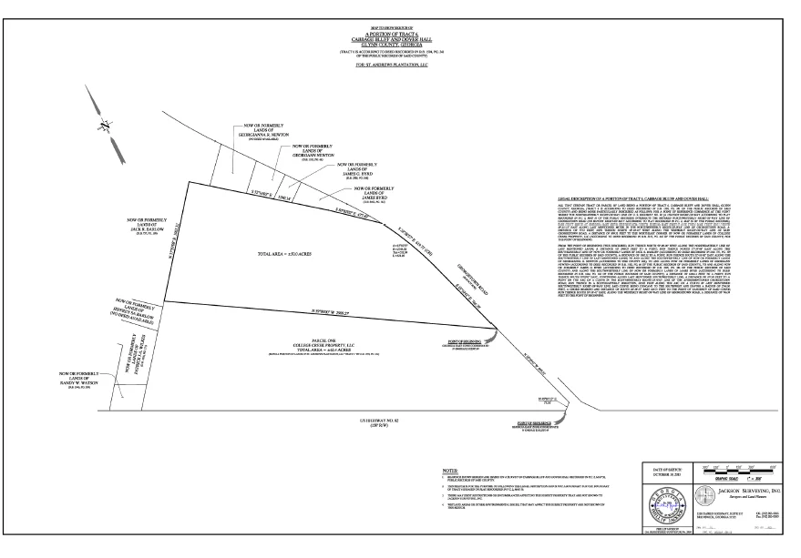 Georgetown Road Land — Sale in Brunswick, GA, photo 4 of 4