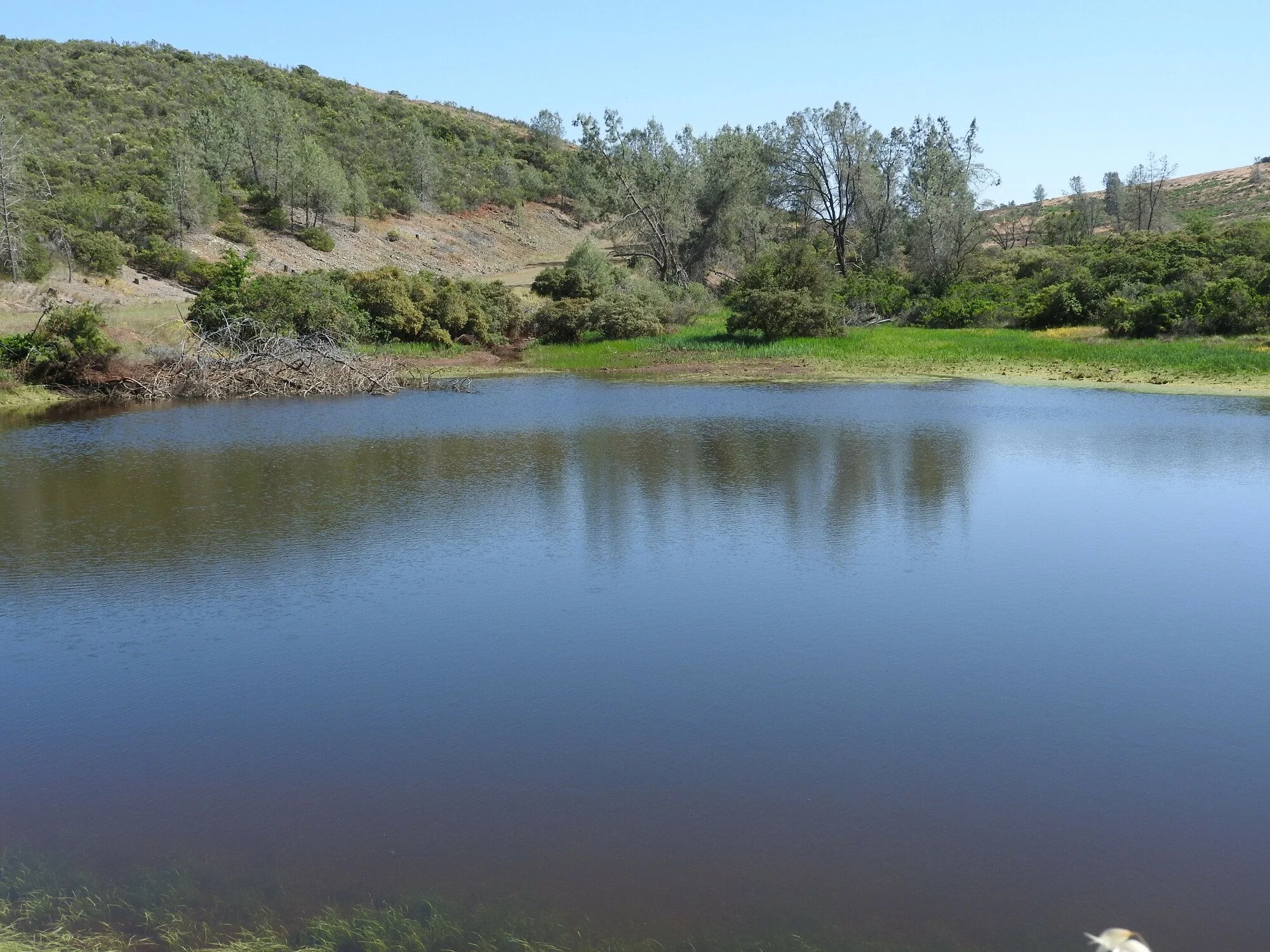 Roebbelen Estate — Sale in El Dorado Hills, CA, photo 6 of 7