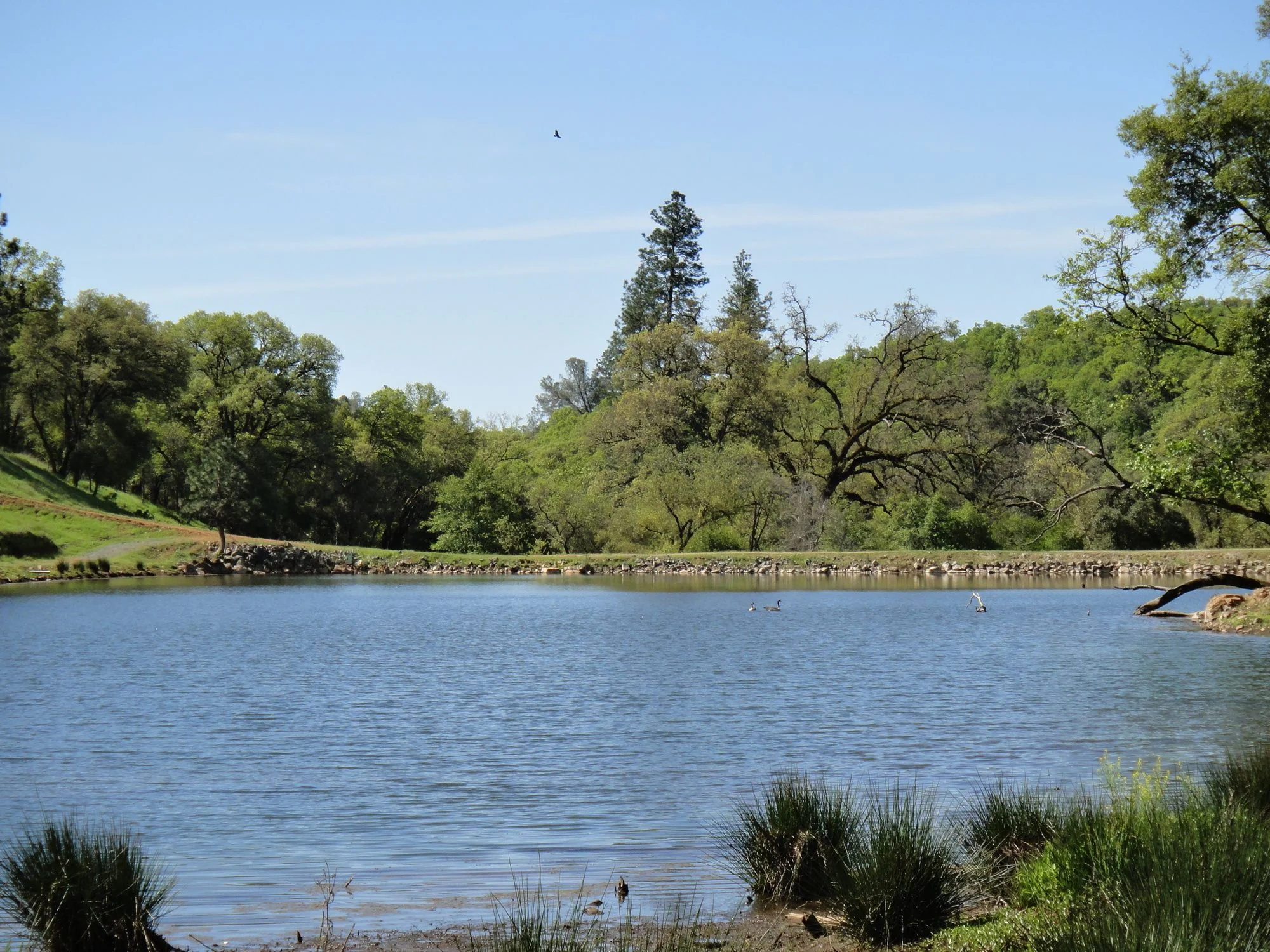10450 Rincon Way — Sale in Auburn, CA, photo 7 of 7