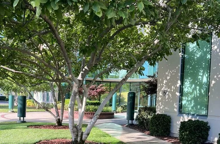 35 Iron Point Circle — Lease in Folsom, CA, photo 5 of 8