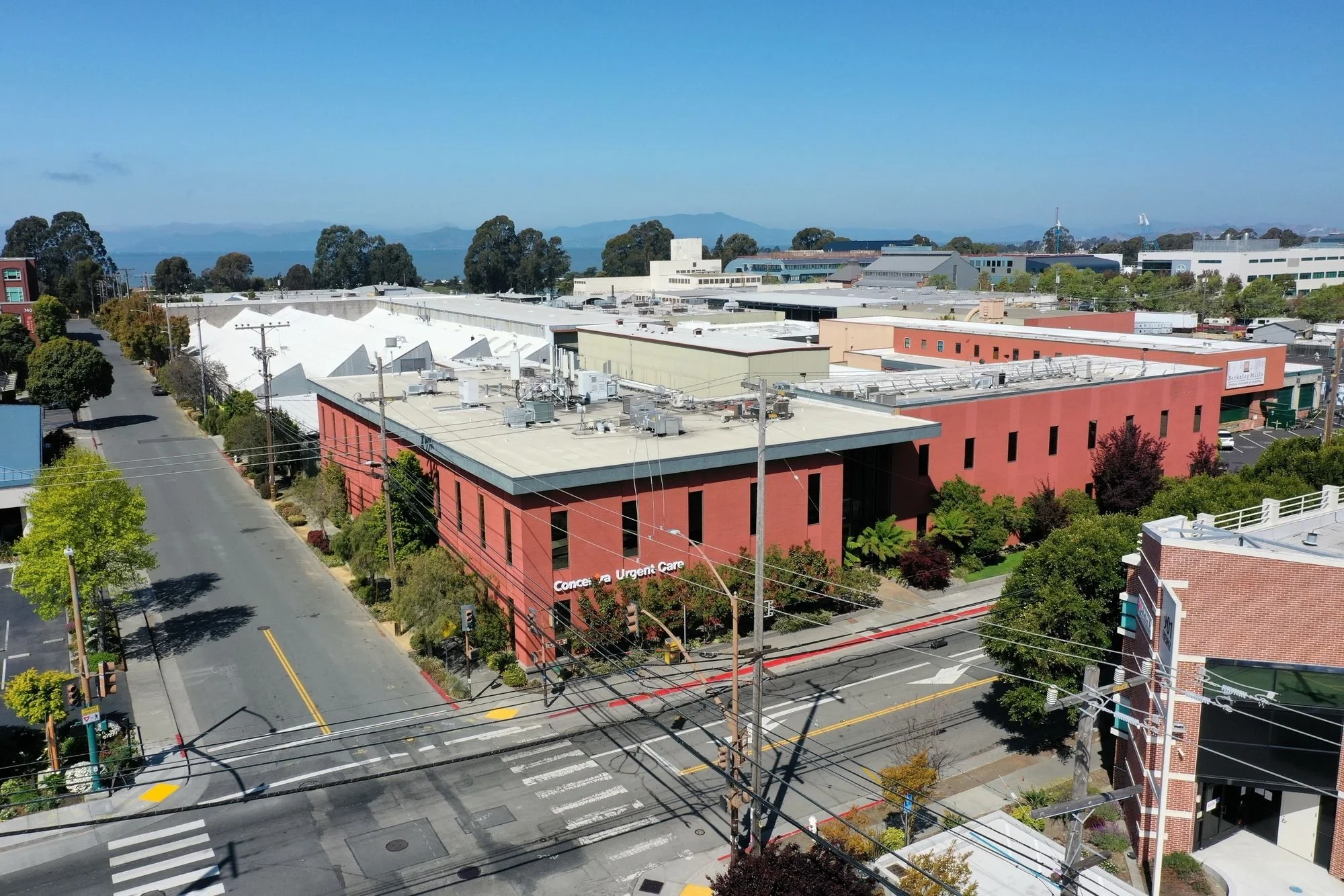 Berkeley Creative Office