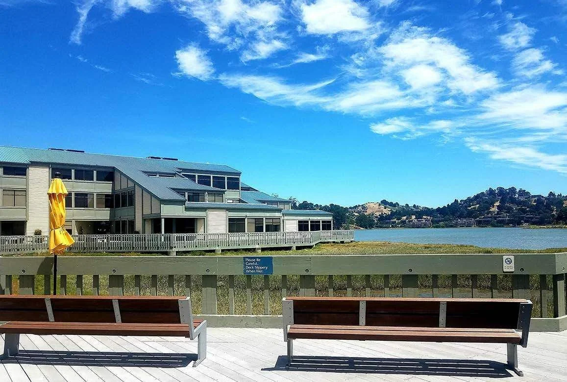 100 Shoreline Highway — Lease in Mill Valley, CA, photo 1 of 8