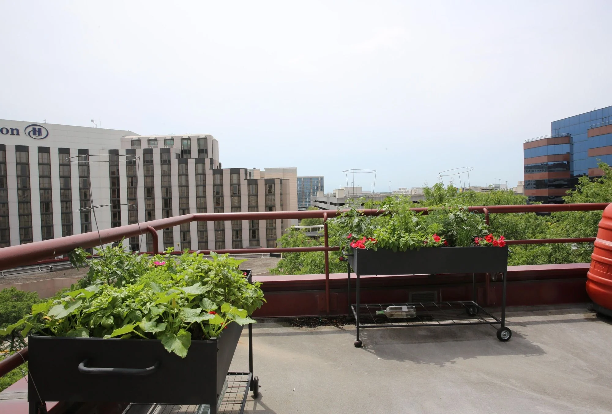 Columbia Centre II — Lease in Rosemont, IL, photo 4 of 8