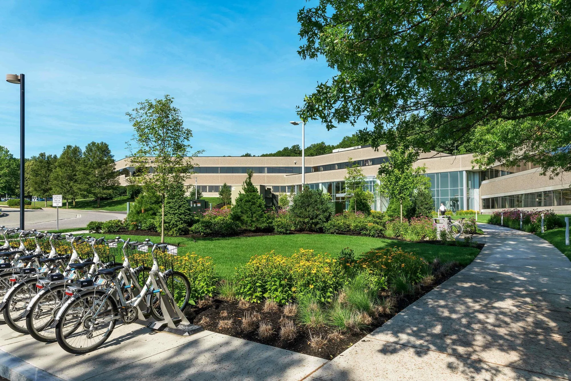 101 Station Drive — Lease in Westwood, MA, photo 6 of 8