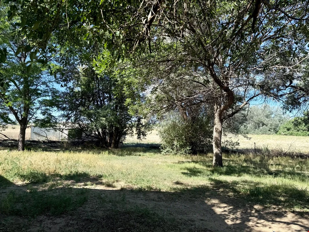 0 County Road 22 — Sale in Longmont, CO, photo 7 of 8
