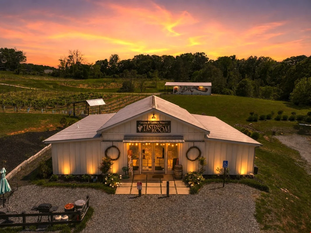 Grapes & Ladders - hospitality for sale in ellijay, GA