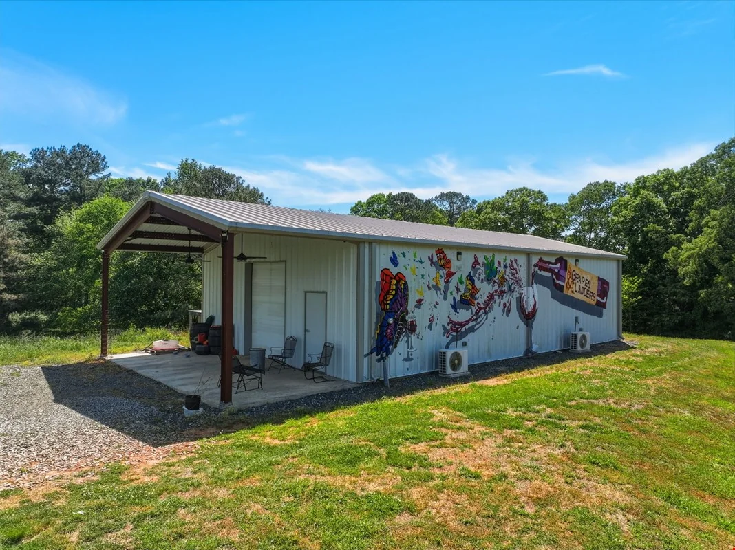 Grapes & Ladders — Sale in Ellijay, GA, photo 3 of 8
