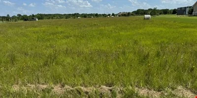 26119 Katy Prairie Dr, Katy, TX 77493- 2.174 AC Land… — Sale in Katy, TX, photo 4 of 8