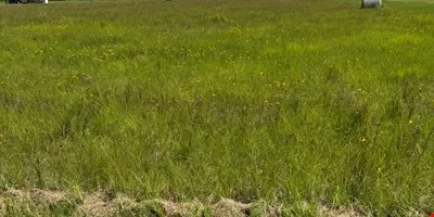 26119 Katy Prairie Dr, Katy, TX 77493- 2.174 AC Land… — Sale in Katy, TX, photo 5 of 8