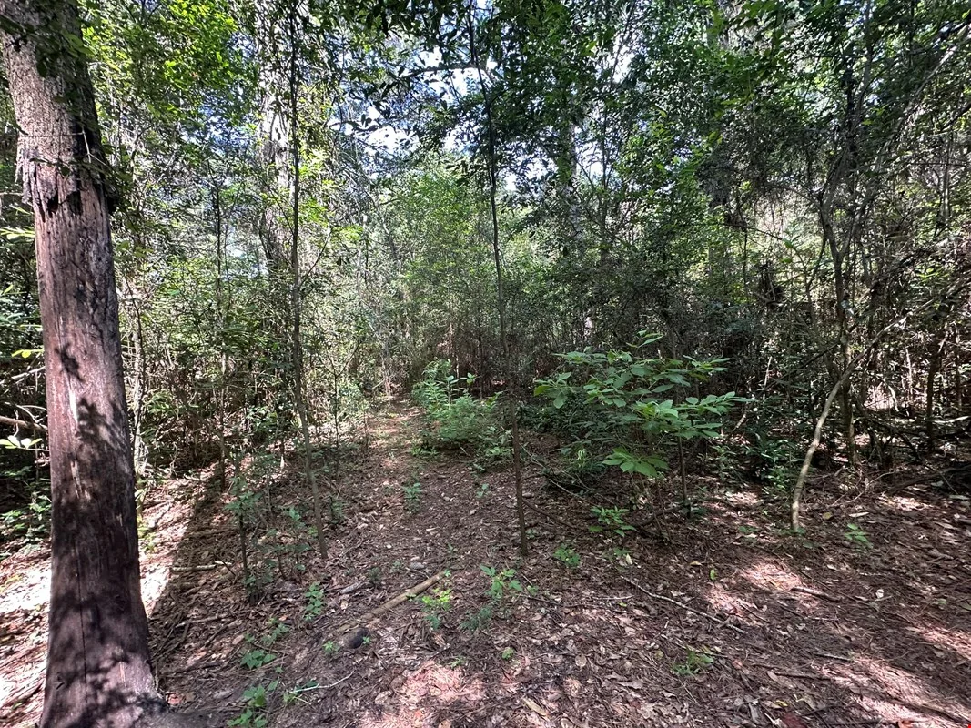 8 +/- AC N Hwy 85, Crestview, FL — Sale in Crestview, FL, photo 3 of 8