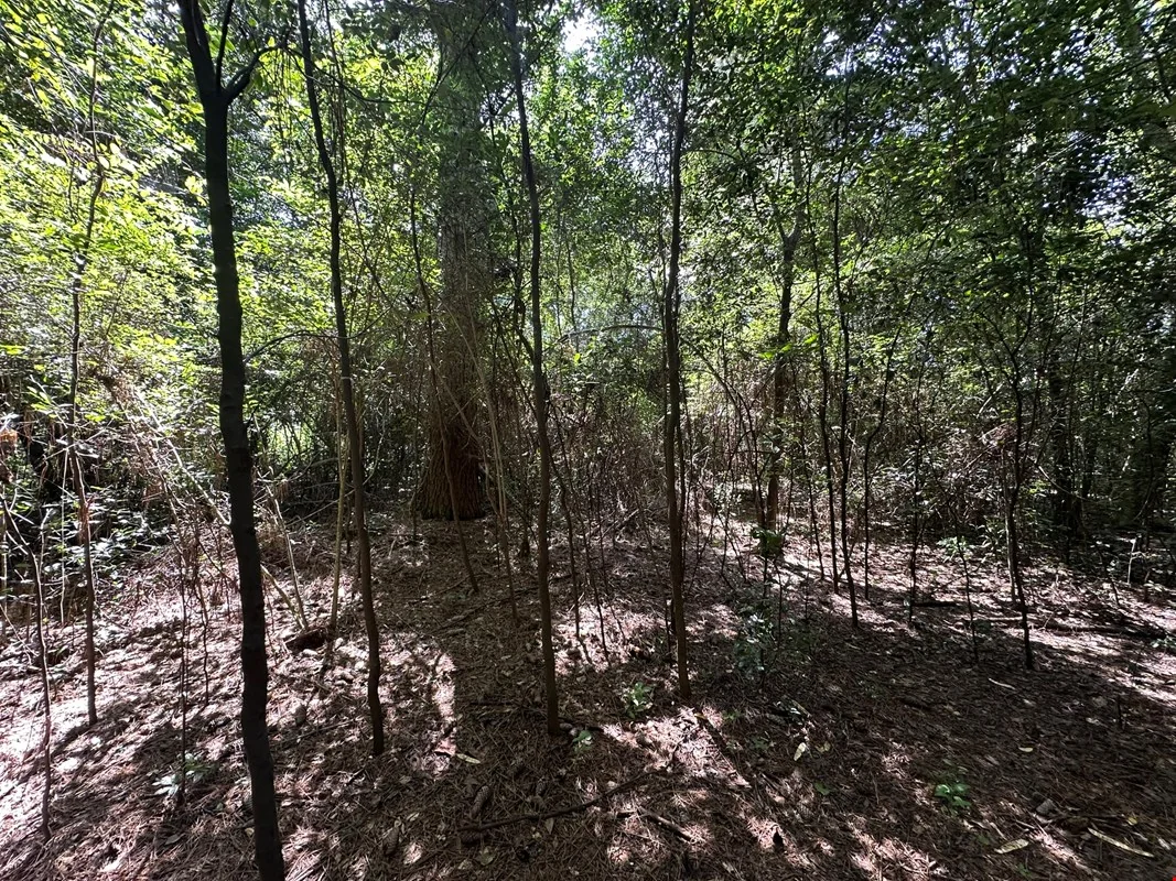 8 +/- AC N Hwy 85, Crestview, FL — Sale in Crestview, FL, photo 4 of 8