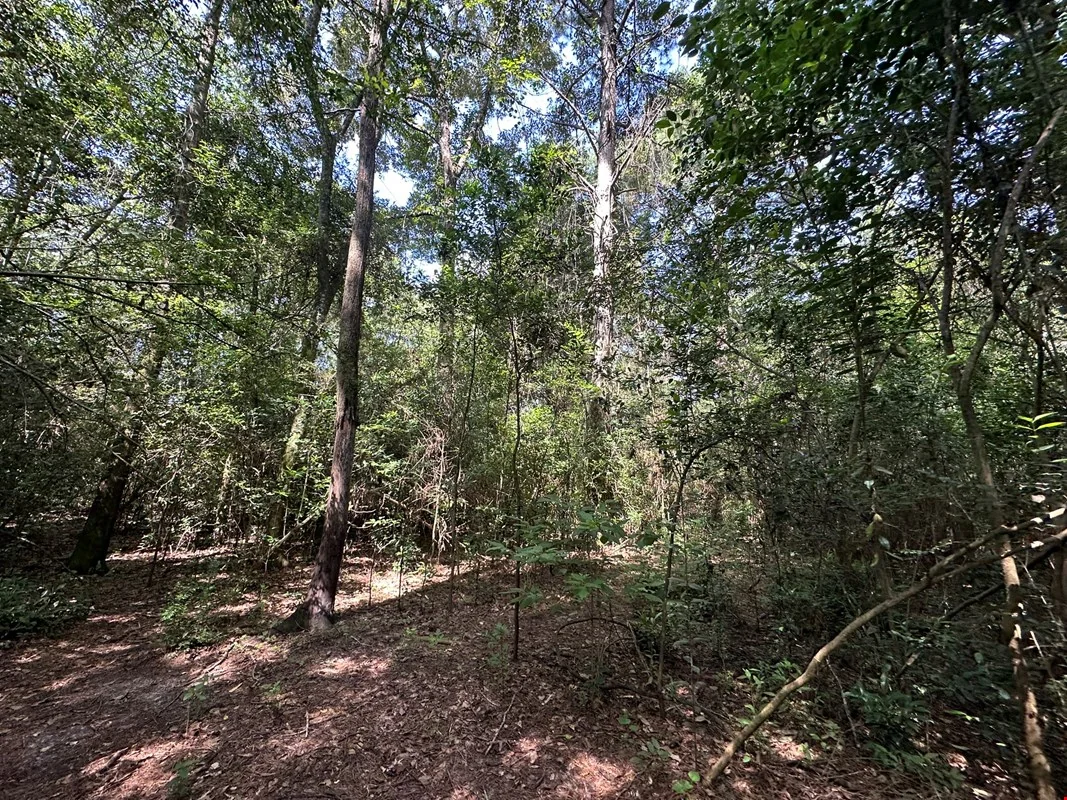 8 +/- AC N Hwy 85, Crestview, FL — Sale in Crestview, FL, photo 5 of 8