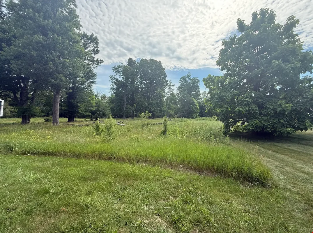 1123 S. Jefferson — Sale in Mason, MI, photo 3 of 8