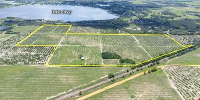 Underpass Road 74 ± Acre Land Opportunity - multifamily for sale in lake wales, FL