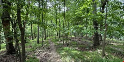 Shannondale Parcels - other for sale in shannondale, WV