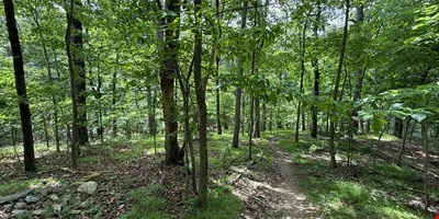 Shannondale Parcels — Sale in Shannondale, WV, photo 2 of 6