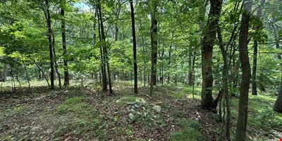 Shannondale Parcels — Sale in Shannondale, WV, photo 3 of 6