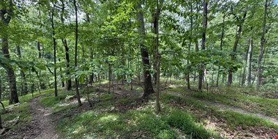 Shannondale Parcels — Sale in Shannondale, WV, photo 4 of 6