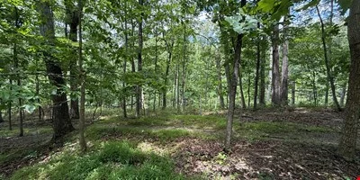 Shannondale Parcels — Sale in Shannondale, WV, photo 6 of 6