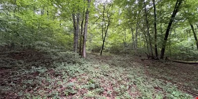 152.86± Acre Land Assemblage - Knox Ln & Beech St,… — Sale in Clarksville, TN, photo 3 of 8