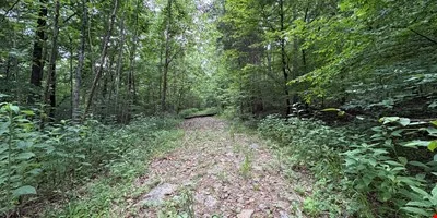 152.86± Acre Land Assemblage - Knox Ln & Beech St,… — Sale in Clarksville, TN, photo 5 of 8