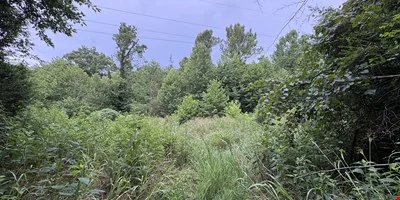 Tract 2 - 102.67± Acres - Beech St, Clarksville TN — Sale in Clarksville, TN, photo 3 of 8