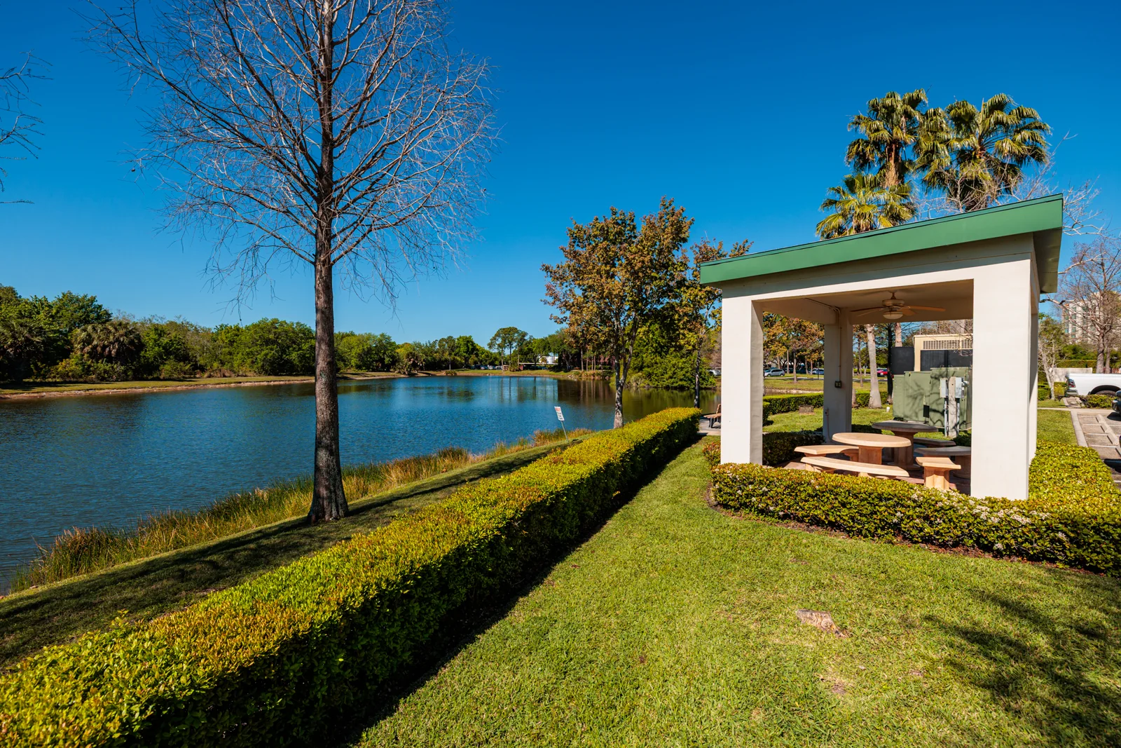 Coastal Roosevelt — Lease in St. Petersburg, FL, photo 4 of 4