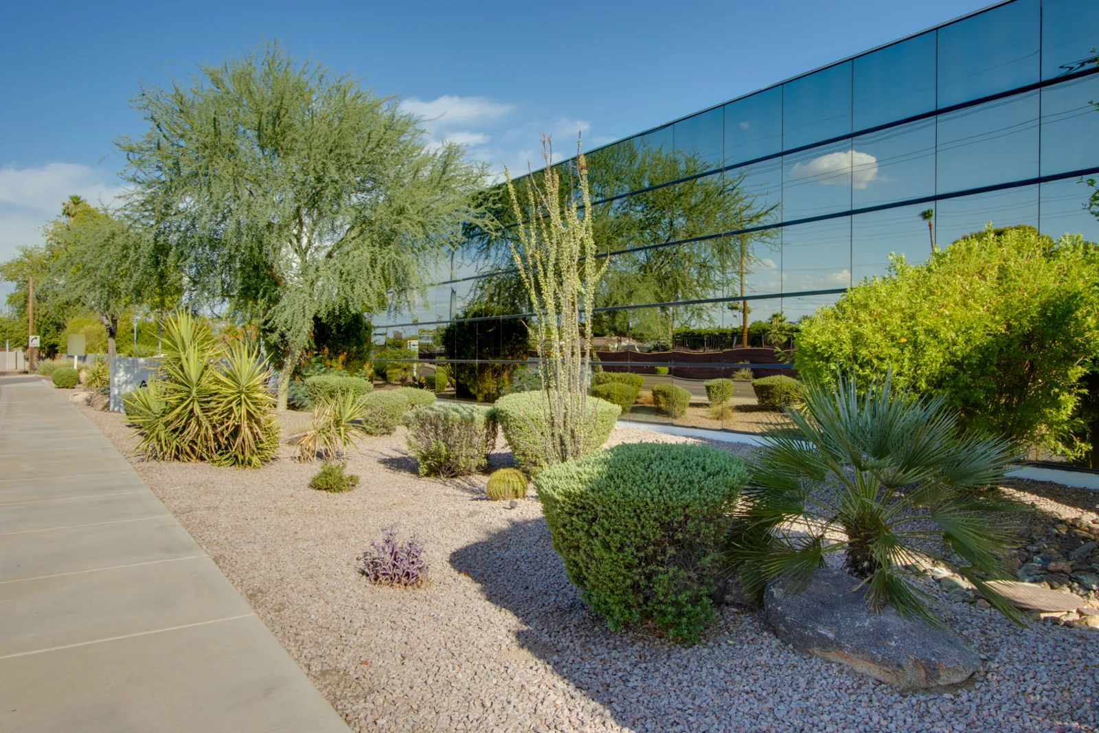 Arcadia Green — Lease in Scottsdale, AZ, photo 2 of 7