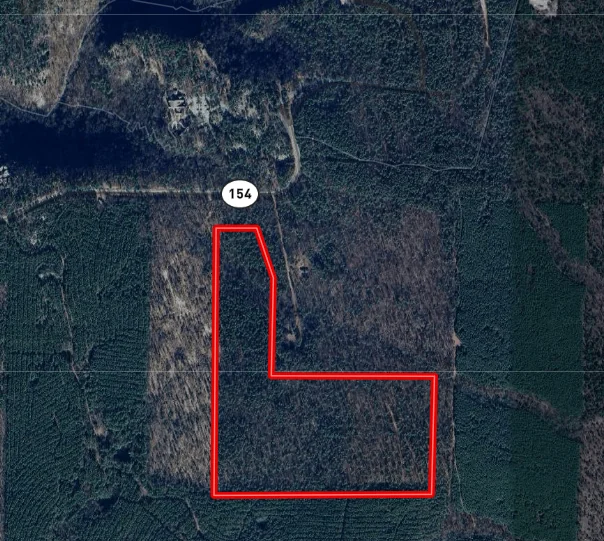 Land in Adona, AR — Sale in Adona, AR, photo 2 of 3